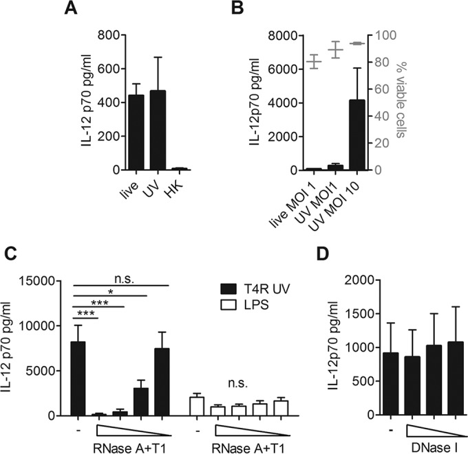 FIG 6 