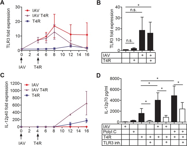 FIG 4 