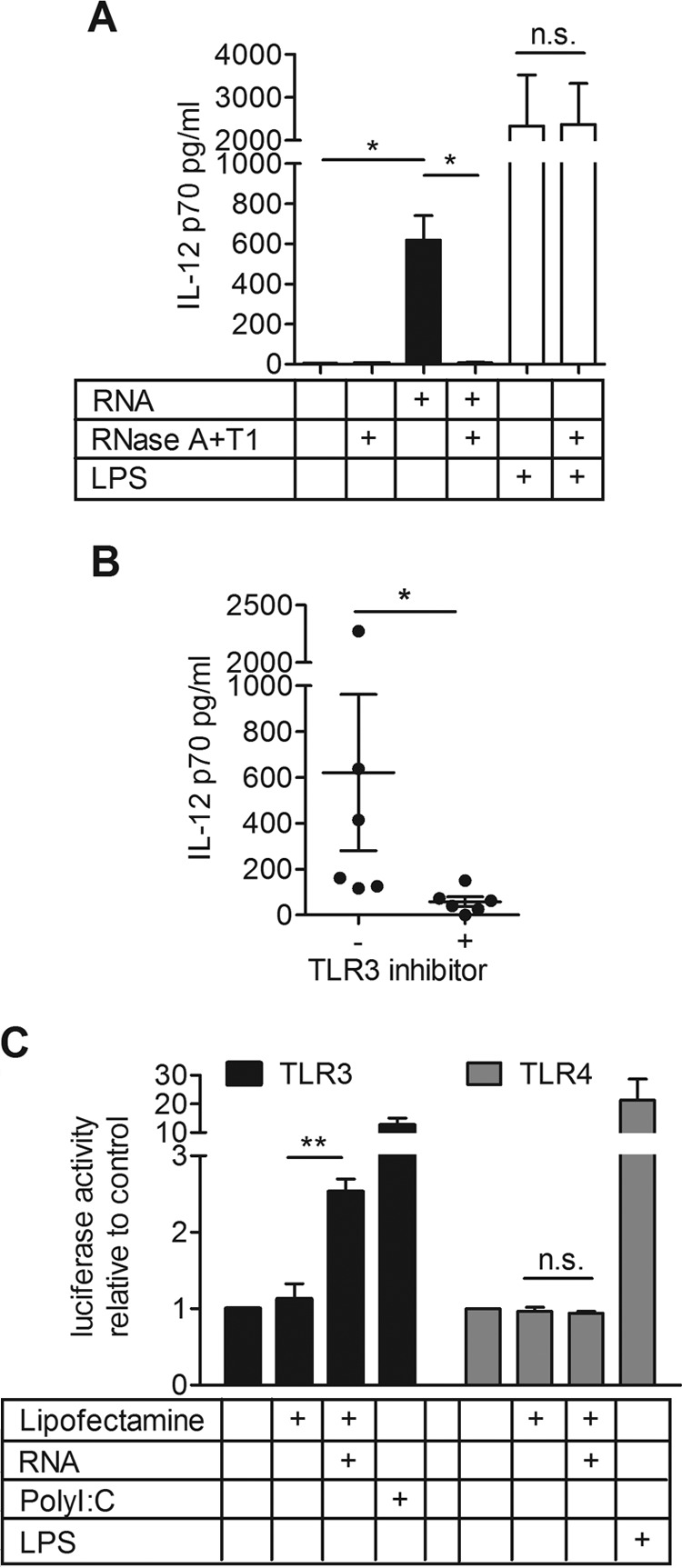 FIG 5 