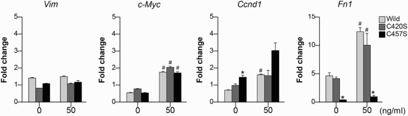 Figure 5.