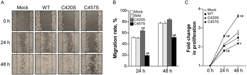 Figure 6.