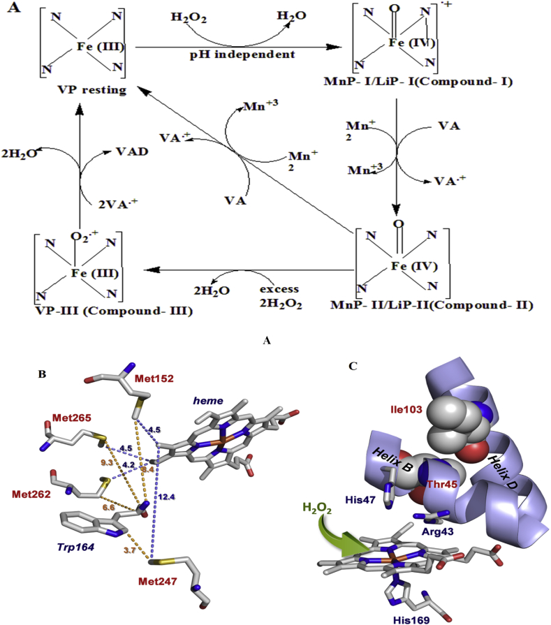 Figure 9