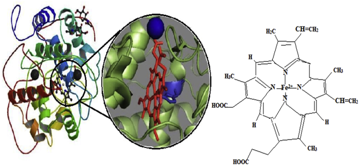 Figure 7