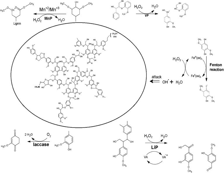 Figure 10