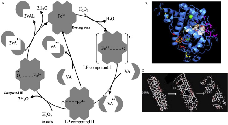 Figure 6