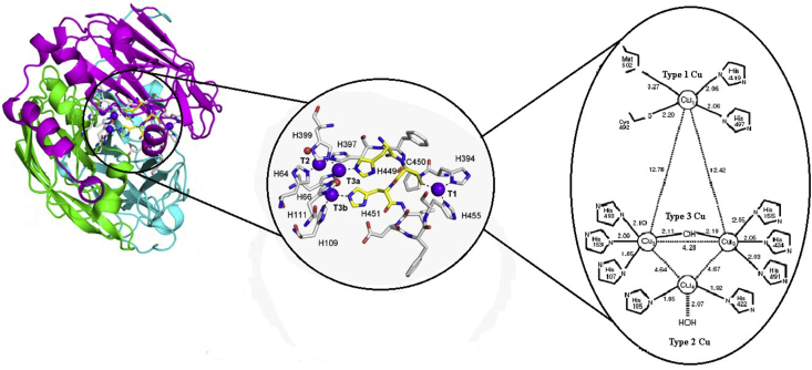 Figure 2