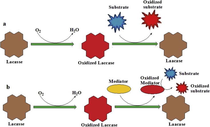 Figure 4