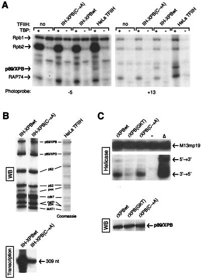 FIG. 6