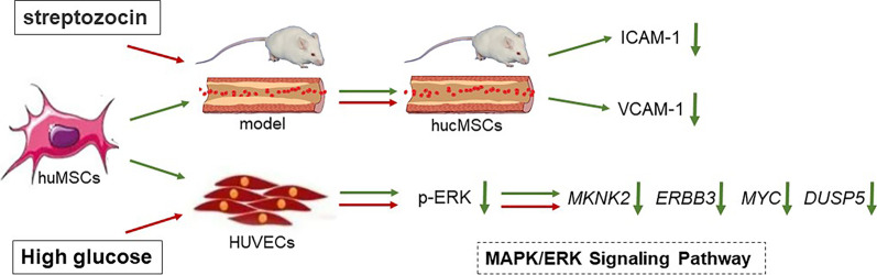 Fig. 11