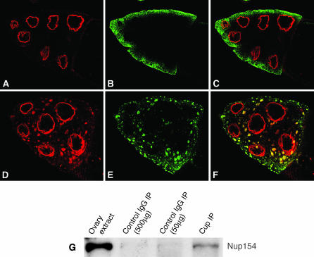 Figure 3.—