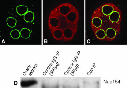 Figure 4.—