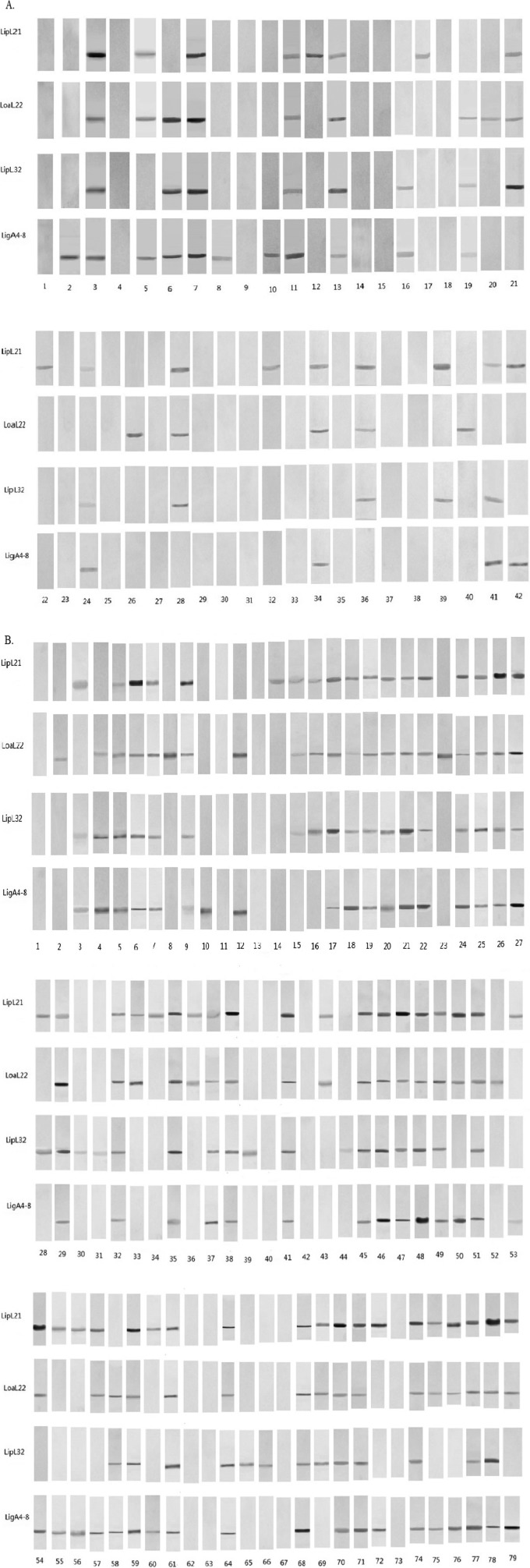 FIG 3