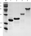FIG 1