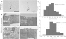 Fig. 5