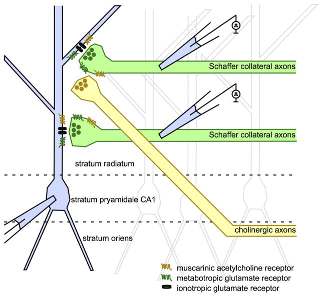 FIG. 8