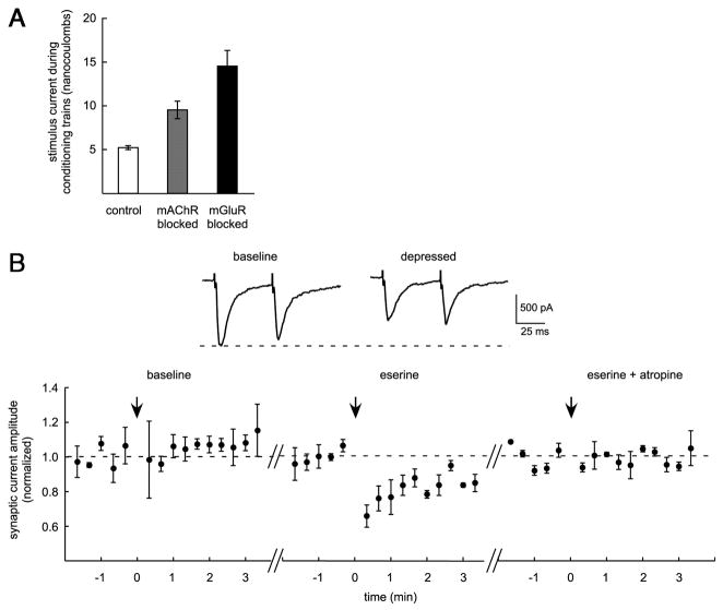 FIG. 7