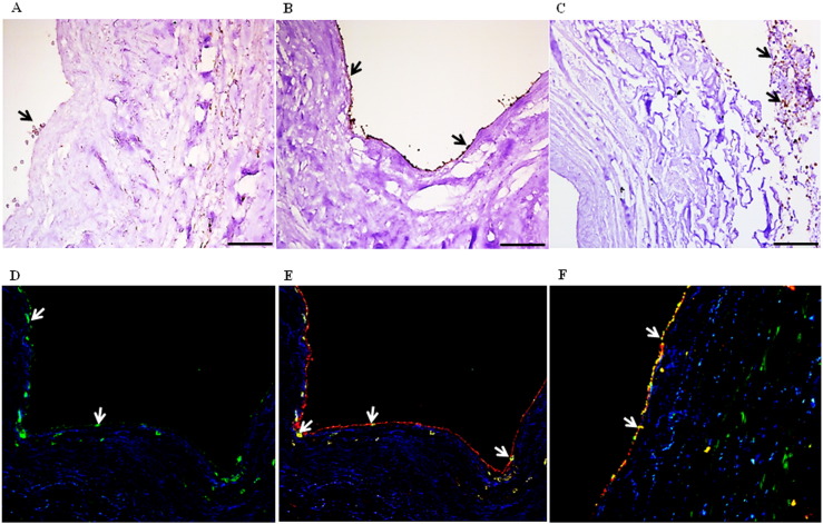 Fig. 3