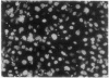 590