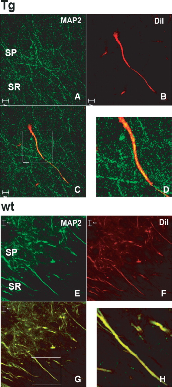 Figure 9.