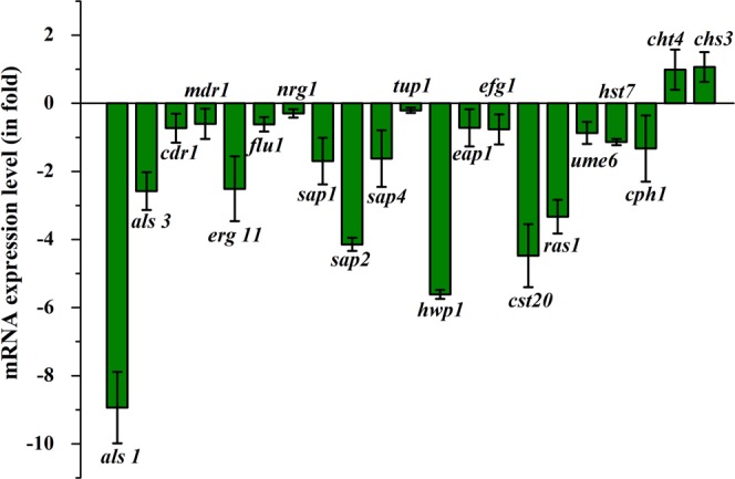 Figure 5