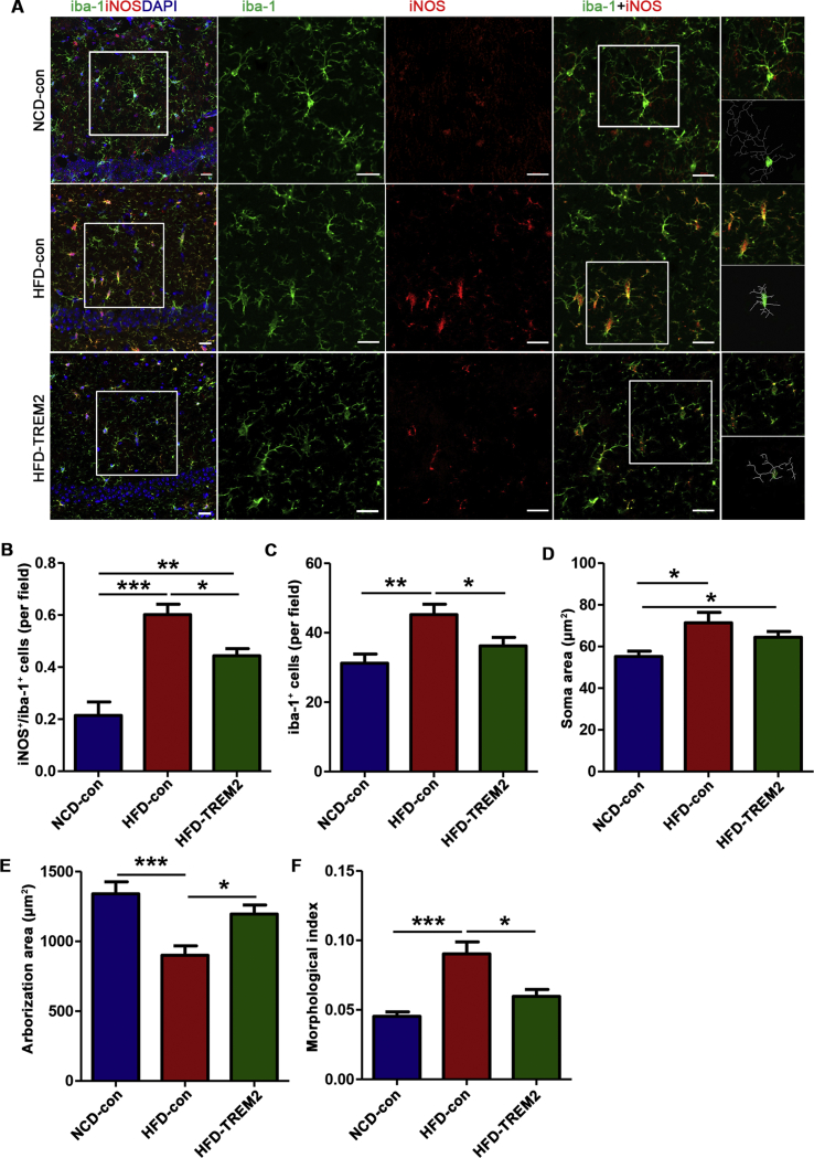 Figure 6