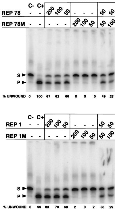 FIG. 5