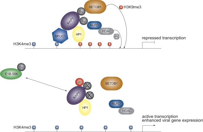 FIG 10