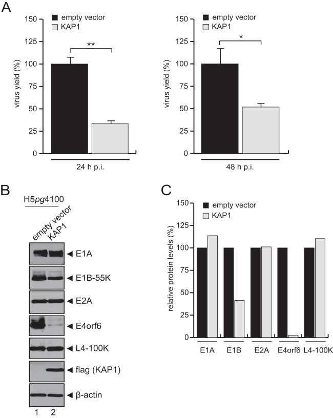 FIG 2