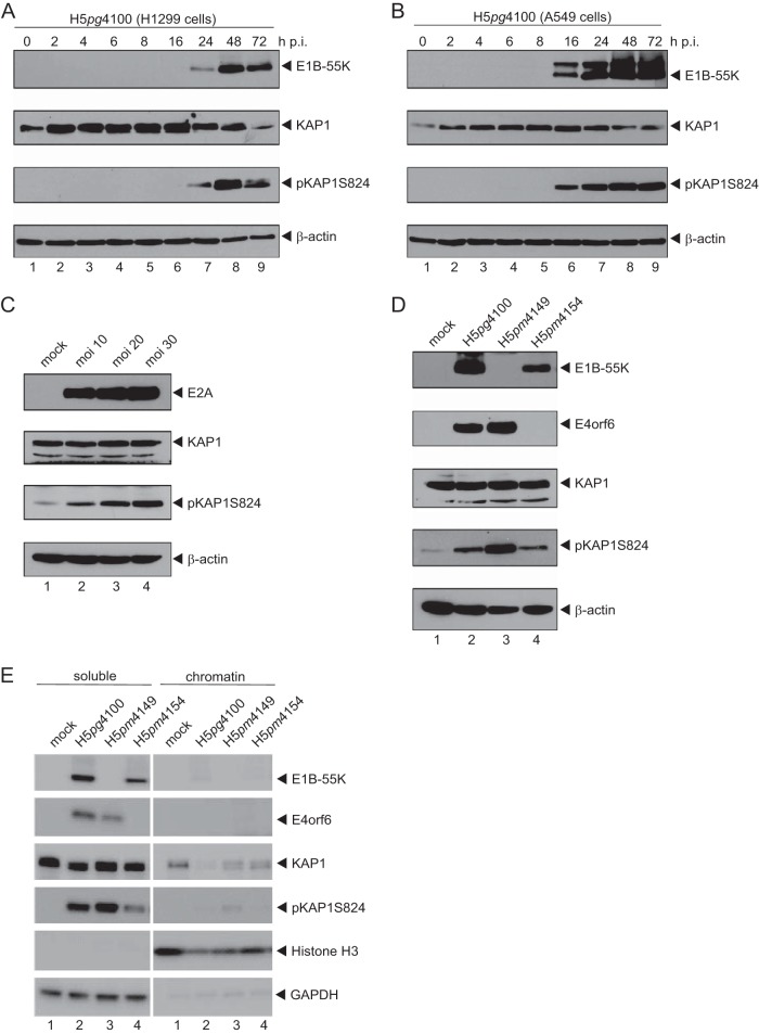 FIG 1