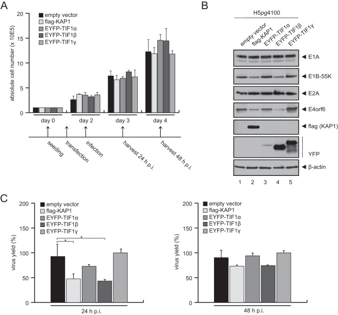 FIG 3