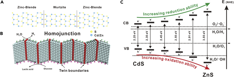 Figure 1