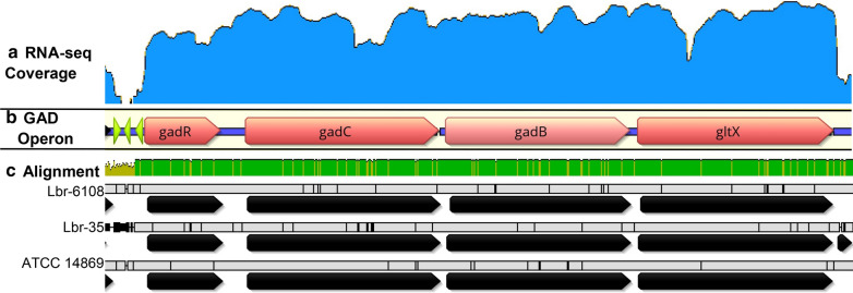 Fig. 5