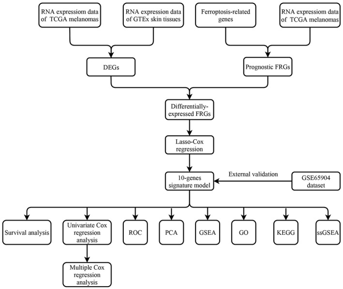 FIGURE 1