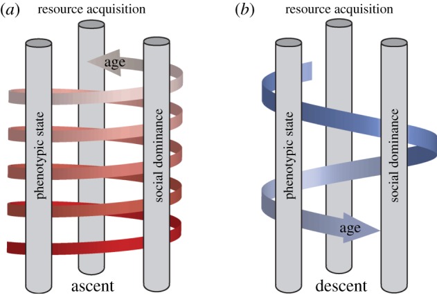 Figure 4.