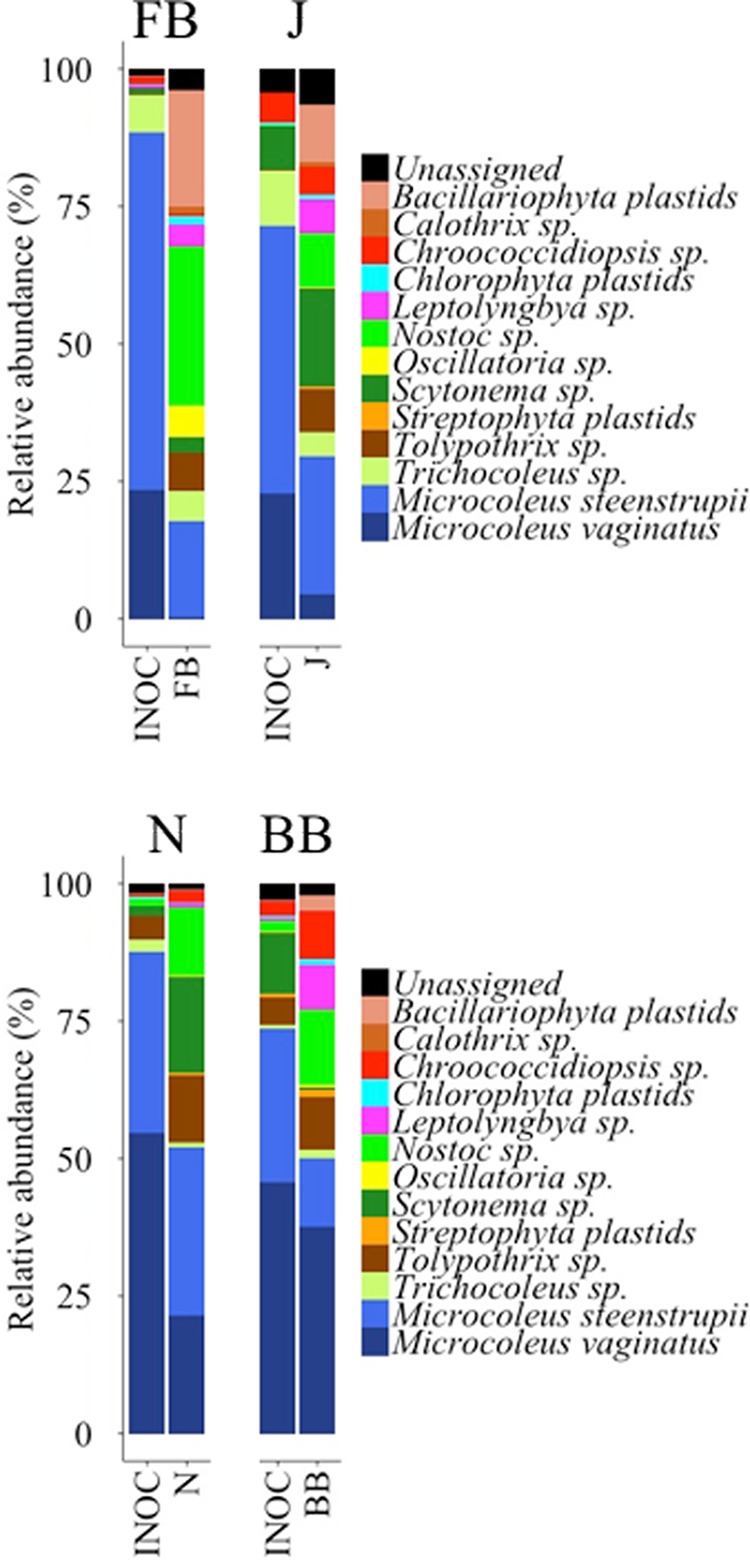 FIG 6