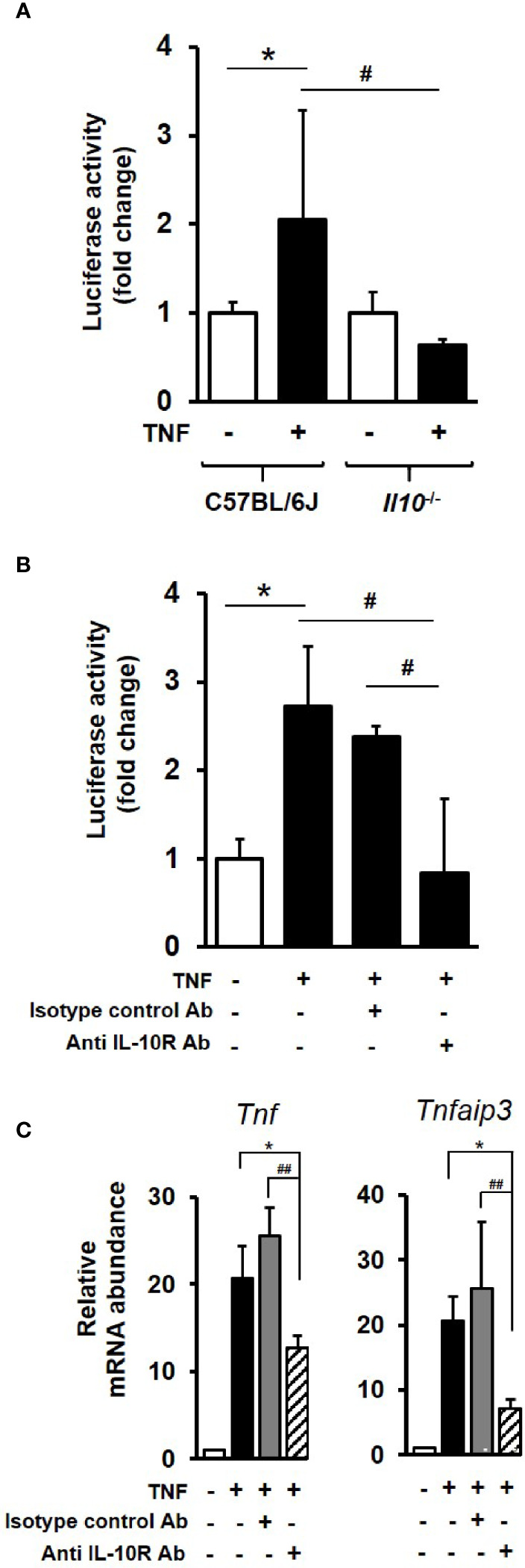 Figure 6