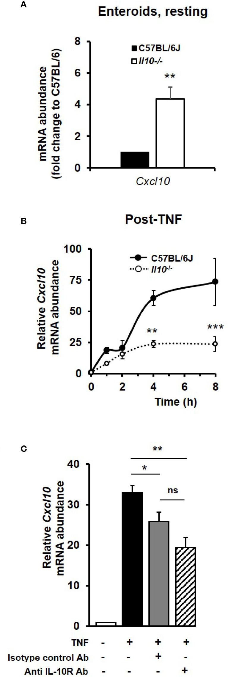 Figure 7