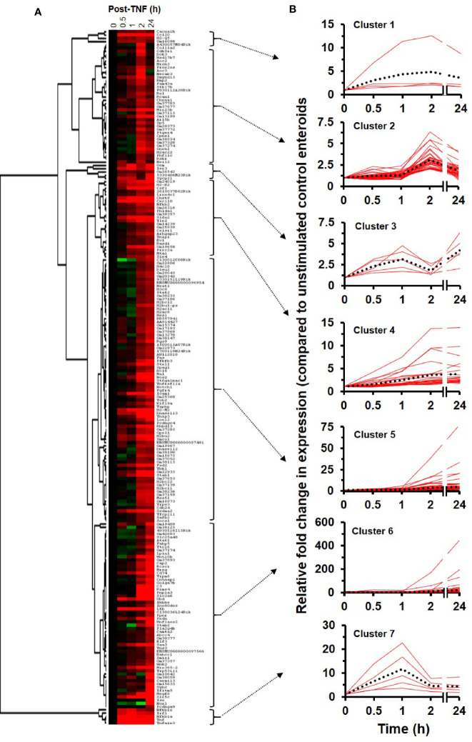 Figure 3