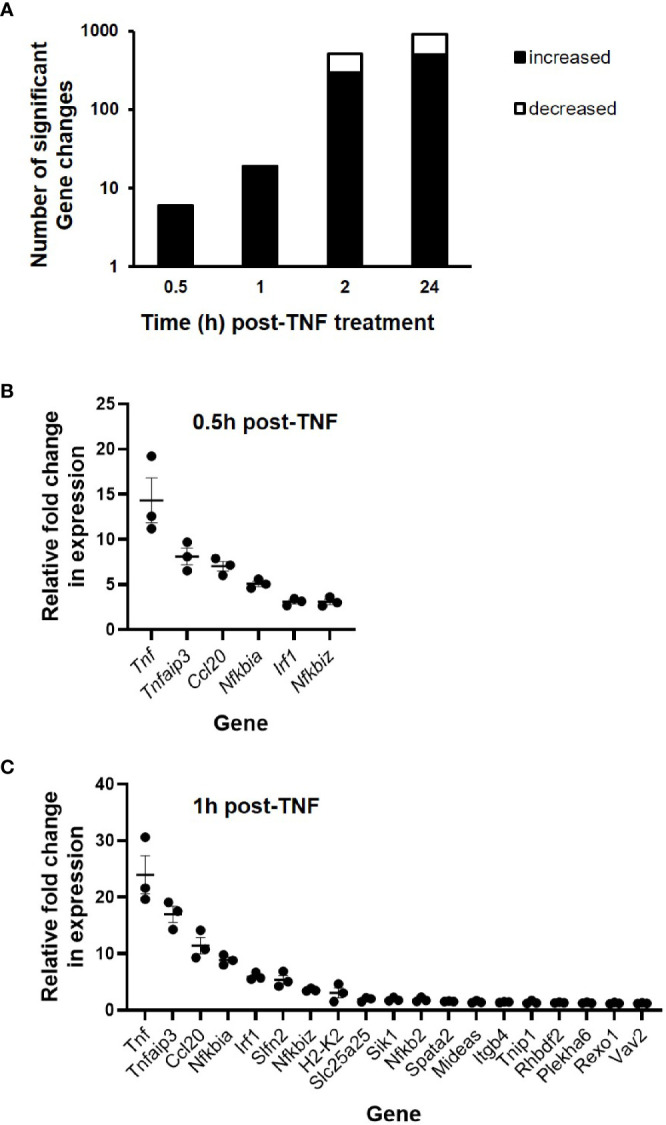 Figure 2