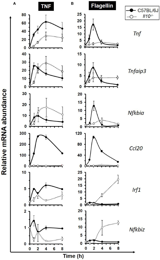 Figure 4