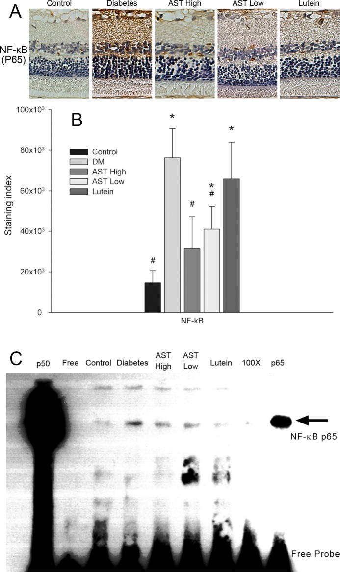 Fig 8