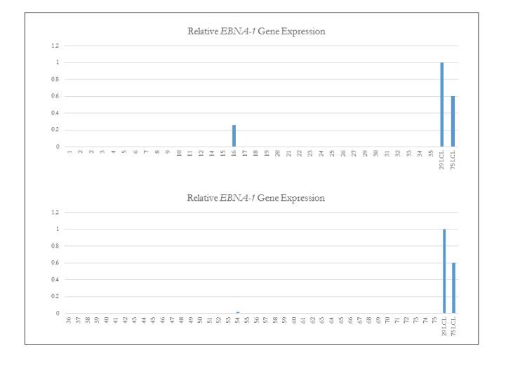 Figure 1—figure supplement 4.