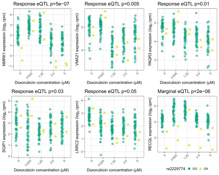 Figure 2—figure supplement 4.