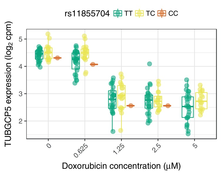 Figure 3—figure supplement 2.