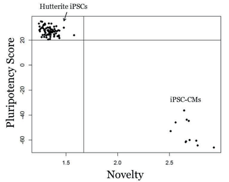 Figure 1—figure supplement 2.