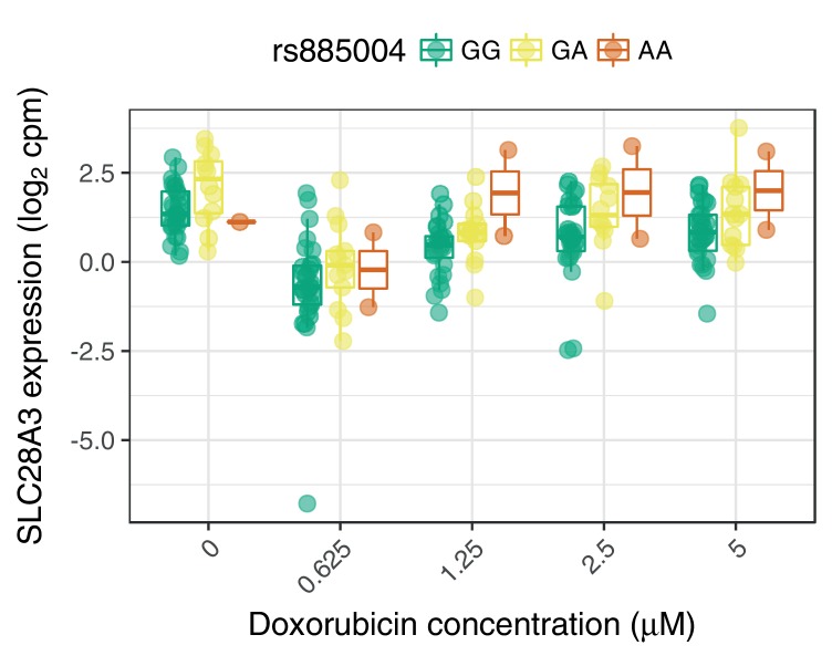 Figure 5—figure supplement 1.