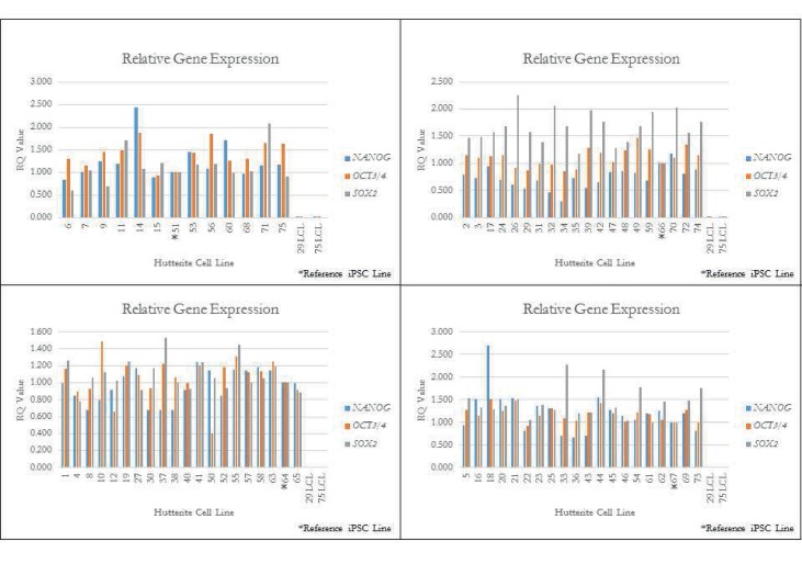 Figure 1—figure supplement 1.