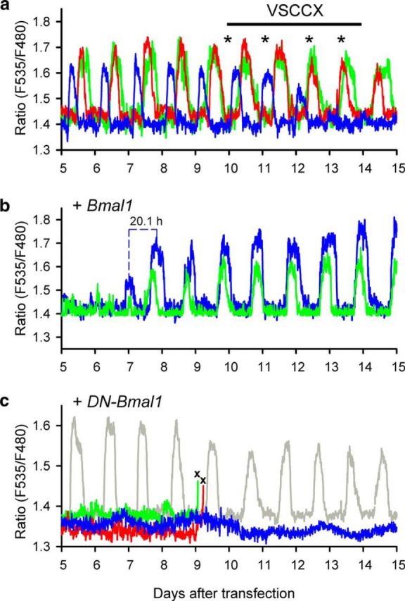 Figure 5.