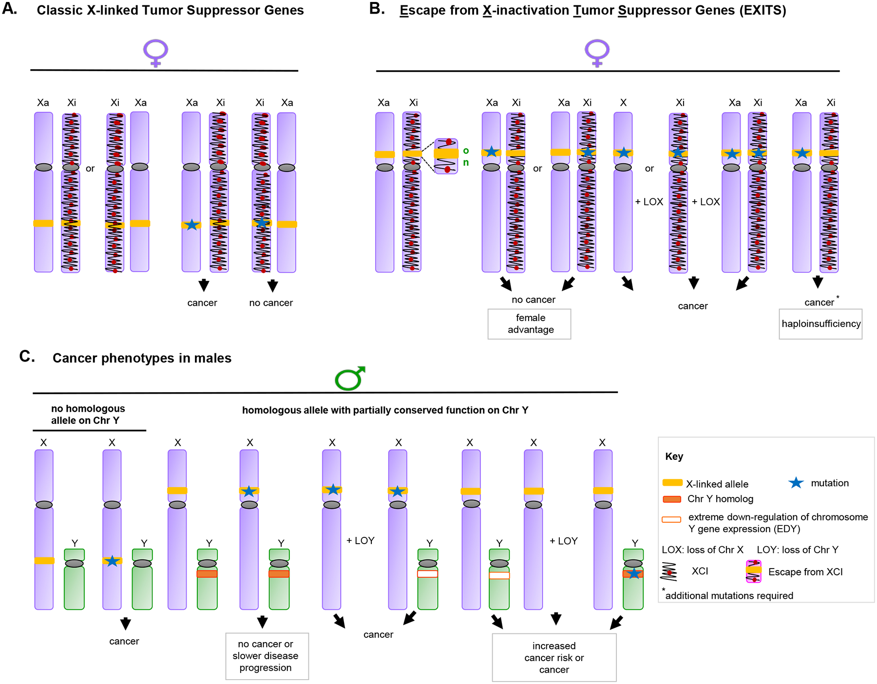 Figure 3: