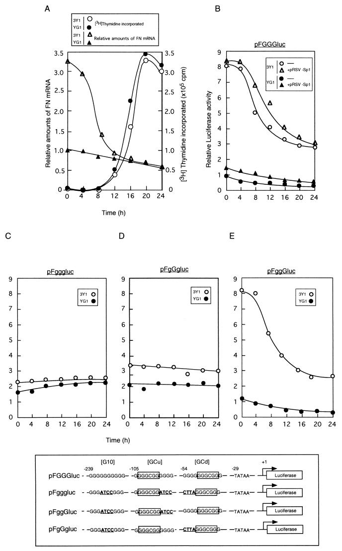 FIG. 4